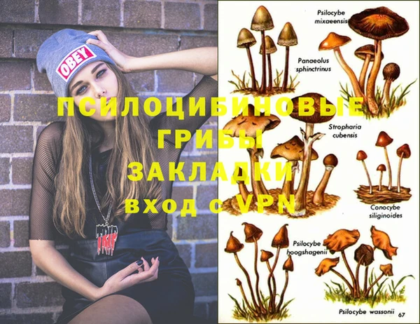 метадон Богданович