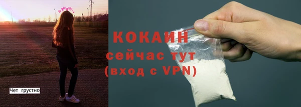 метадон Богданович