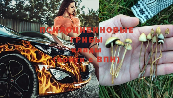 метадон Богданович