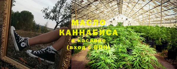 метадон Богданович