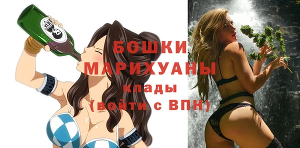 метадон Богданович
