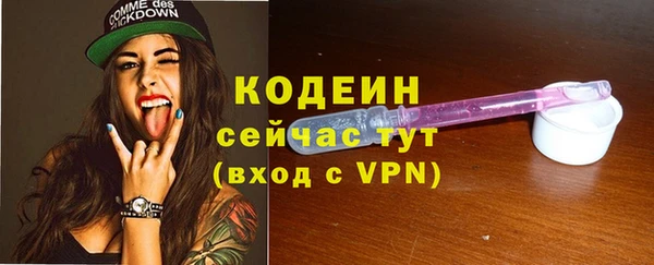 метадон Богданович